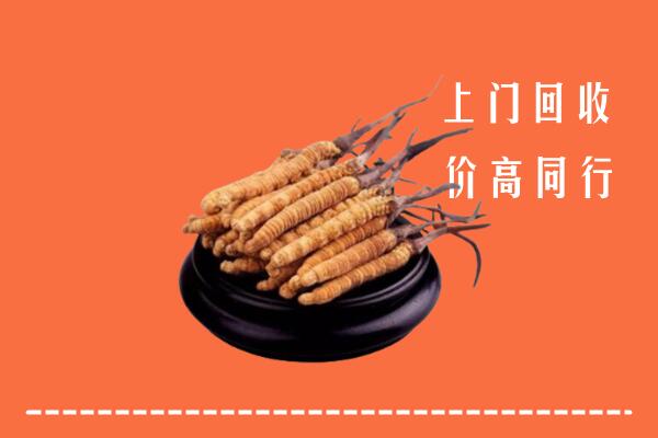 高价求购：电白区回收散虫草