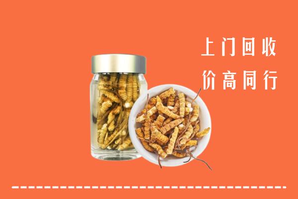 电白区回收冬虫夏草